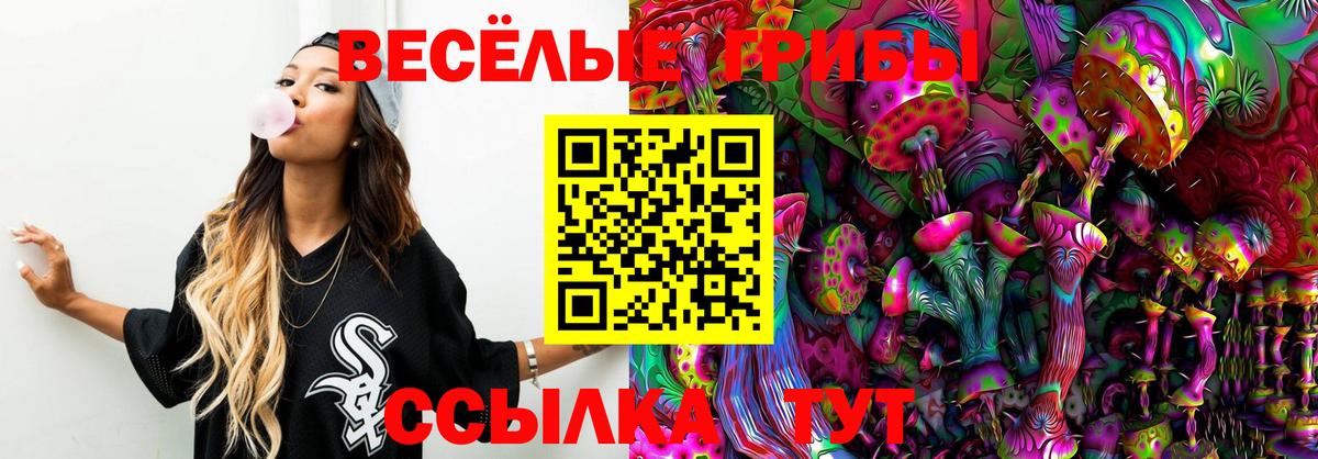 Псилоцибиновые грибы MAGIC MUSHROOMS  Вход с VPN  Сочи 