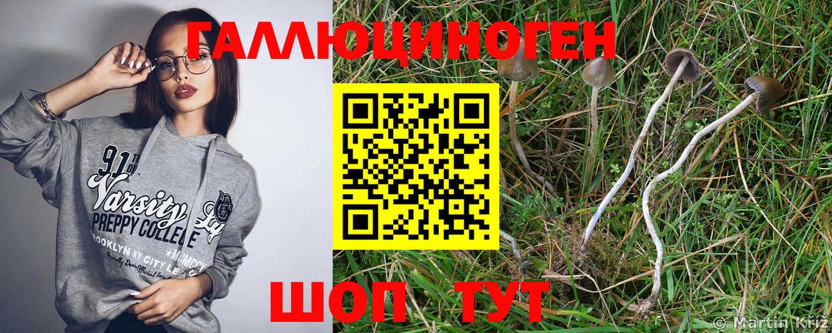 Псилоцибиновые грибы Magic Shrooms Сочи